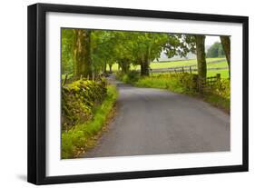 Country Road, Yorkshire Dales National Park, Yorkshire, England, United Kingdom, Europe-Miles Ertman-Framed Photographic Print