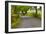 Country Road, Yorkshire Dales National Park, Yorkshire, England, United Kingdom, Europe-Miles Ertman-Framed Photographic Print