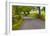 Country Road, Yorkshire Dales National Park, Yorkshire, England, United Kingdom, Europe-Miles Ertman-Framed Photographic Print