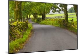 Country Road, Yorkshire Dales National Park, Yorkshire, England, United Kingdom, Europe-Miles Ertman-Mounted Photographic Print