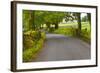 Country Road, Yorkshire Dales National Park, Yorkshire, England, United Kingdom, Europe-Miles Ertman-Framed Photographic Print