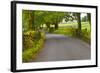 Country Road, Yorkshire Dales National Park, Yorkshire, England, United Kingdom, Europe-Miles Ertman-Framed Photographic Print