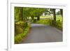 Country Road, Yorkshire Dales National Park, Yorkshire, England, United Kingdom, Europe-Miles Ertman-Framed Photographic Print