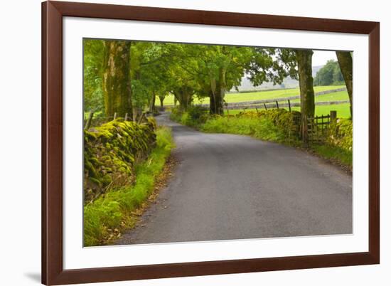 Country Road, Yorkshire Dales National Park, Yorkshire, England, United Kingdom, Europe-Miles Ertman-Framed Photographic Print