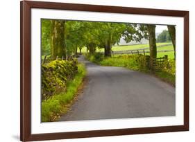 Country Road, Yorkshire Dales National Park, Yorkshire, England, United Kingdom, Europe-Miles Ertman-Framed Photographic Print