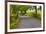 Country Road, Yorkshire Dales National Park, Yorkshire, England, United Kingdom, Europe-Miles Ertman-Framed Photographic Print