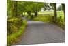 Country Road, Yorkshire Dales National Park, Yorkshire, England, United Kingdom, Europe-Miles Ertman-Mounted Photographic Print