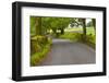 Country Road, Yorkshire Dales National Park, Yorkshire, England, United Kingdom, Europe-Miles Ertman-Framed Photographic Print