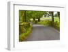 Country Road, Yorkshire Dales National Park, Yorkshire, England, United Kingdom, Europe-Miles Ertman-Framed Photographic Print