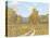 Country Road-Longo-Stretched Canvas