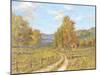 Country Road-Longo-Mounted Giclee Print