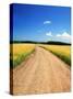 Country Road-null-Stretched Canvas
