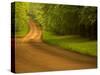 Country Road-Doug Chinnery-Stretched Canvas