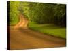 Country Road-Doug Chinnery-Stretched Canvas