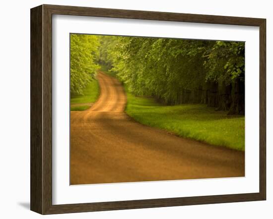 Country Road-Doug Chinnery-Framed Photographic Print