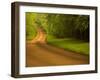 Country Road-Doug Chinnery-Framed Photographic Print