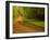 Country Road-Doug Chinnery-Framed Photographic Print