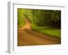 Country Road-Doug Chinnery-Framed Photographic Print