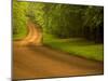 Country Road-Doug Chinnery-Mounted Photographic Print