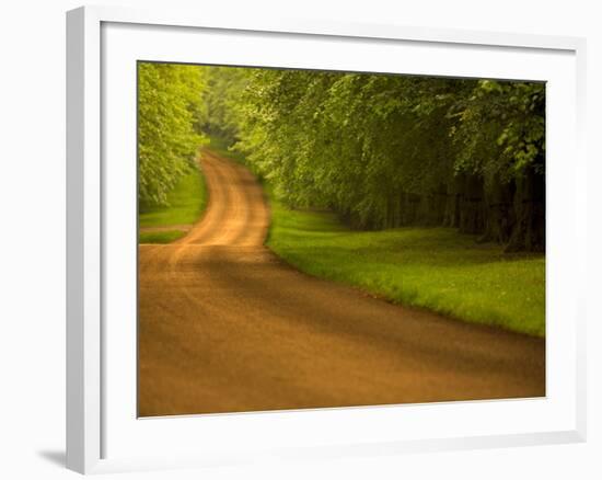 Country Road-Doug Chinnery-Framed Photographic Print