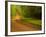 Country Road-Doug Chinnery-Framed Photographic Print