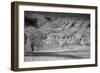 Country Road-J.D. Mcfarlan-Framed Photographic Print