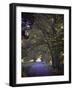 Country Road-J.D. Mcfarlan-Framed Photographic Print