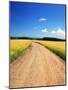 Country Road-null-Mounted Photographic Print