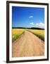 Country Road-null-Framed Photographic Print