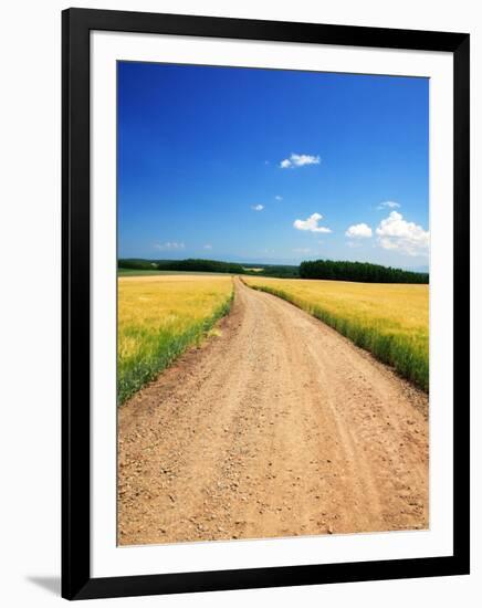 Country Road-null-Framed Photographic Print