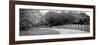 Country Road-Kelly Poynter-Framed Photographic Print