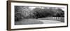 Country Road-Kelly Poynter-Framed Photographic Print