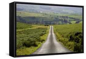 Country Road-Charles Bowman-Framed Stretched Canvas