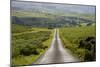 Country Road-Charles Bowman-Mounted Photographic Print