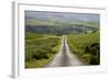 Country Road-Charles Bowman-Framed Photographic Print