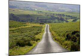 Country Road-Charles Bowman-Mounted Photographic Print