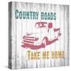 Country Roads-Alicia Soave-Stretched Canvas