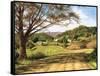 Country Roads-Lene Alston Casey-Framed Stretched Canvas
