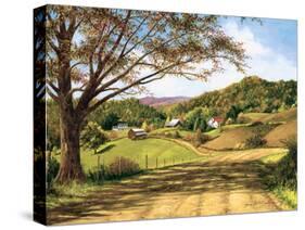 Country Roads-Lene Alston Casey-Stretched Canvas