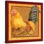 Country Rooster II-Gwendolyn Babbitt-Stretched Canvas