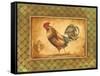 Country Rooster II-Gregory Gorham-Framed Stretched Canvas