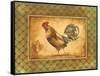 Country Rooster II-Gregory Gorham-Framed Stretched Canvas