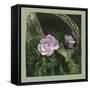 Country Rose-Art and a Little Magic-Framed Stretched Canvas