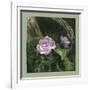 Country Rose-Art and a Little Magic-Framed Giclee Print