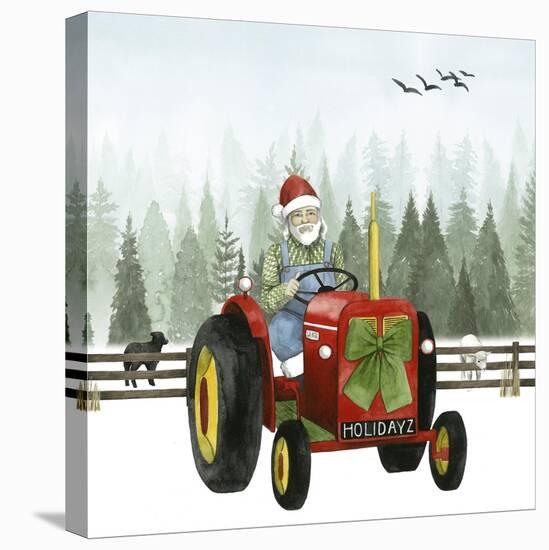 Country Santa I-Grace Popp-Stretched Canvas