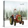 Country Santa I-Grace Popp-Stretched Canvas