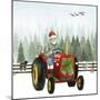 Country Santa I-Grace Popp-Mounted Premium Giclee Print