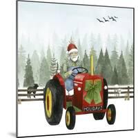 Country Santa I-Grace Popp-Mounted Art Print