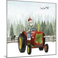 Country Santa I-Grace Popp-Mounted Art Print