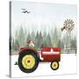 Country Santa II-Grace Popp-Stretched Canvas